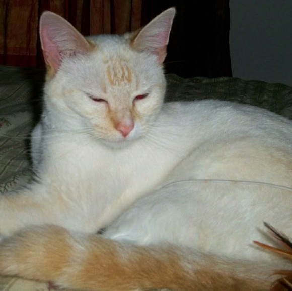 cathi26